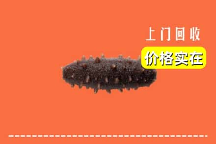 杂多县回收海参