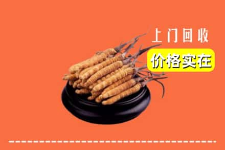 杂多县回收冬虫夏草